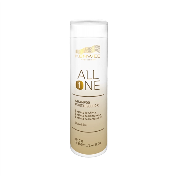 Shampoo Fortalecedor All One  Anti-queda 250 ml