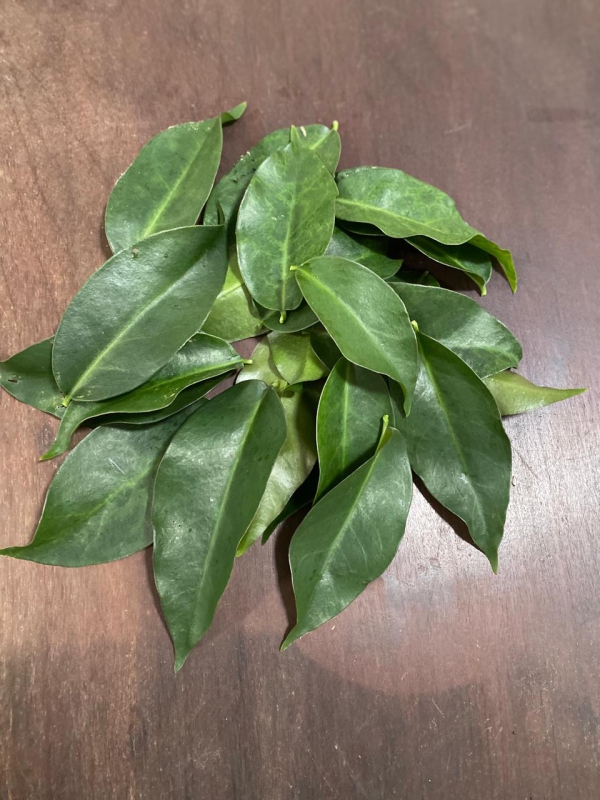Folhas de ora pro nobis 100g
